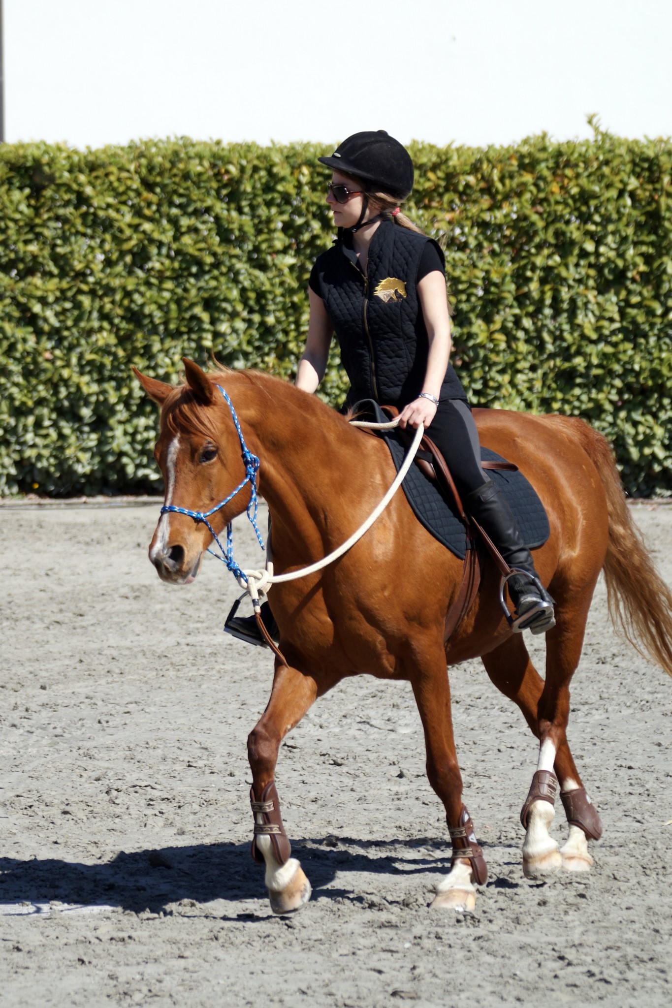 Reiten