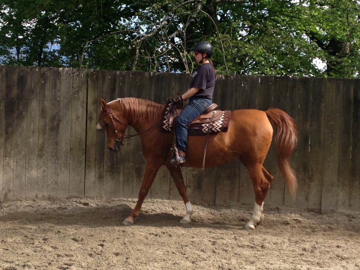 Reiten