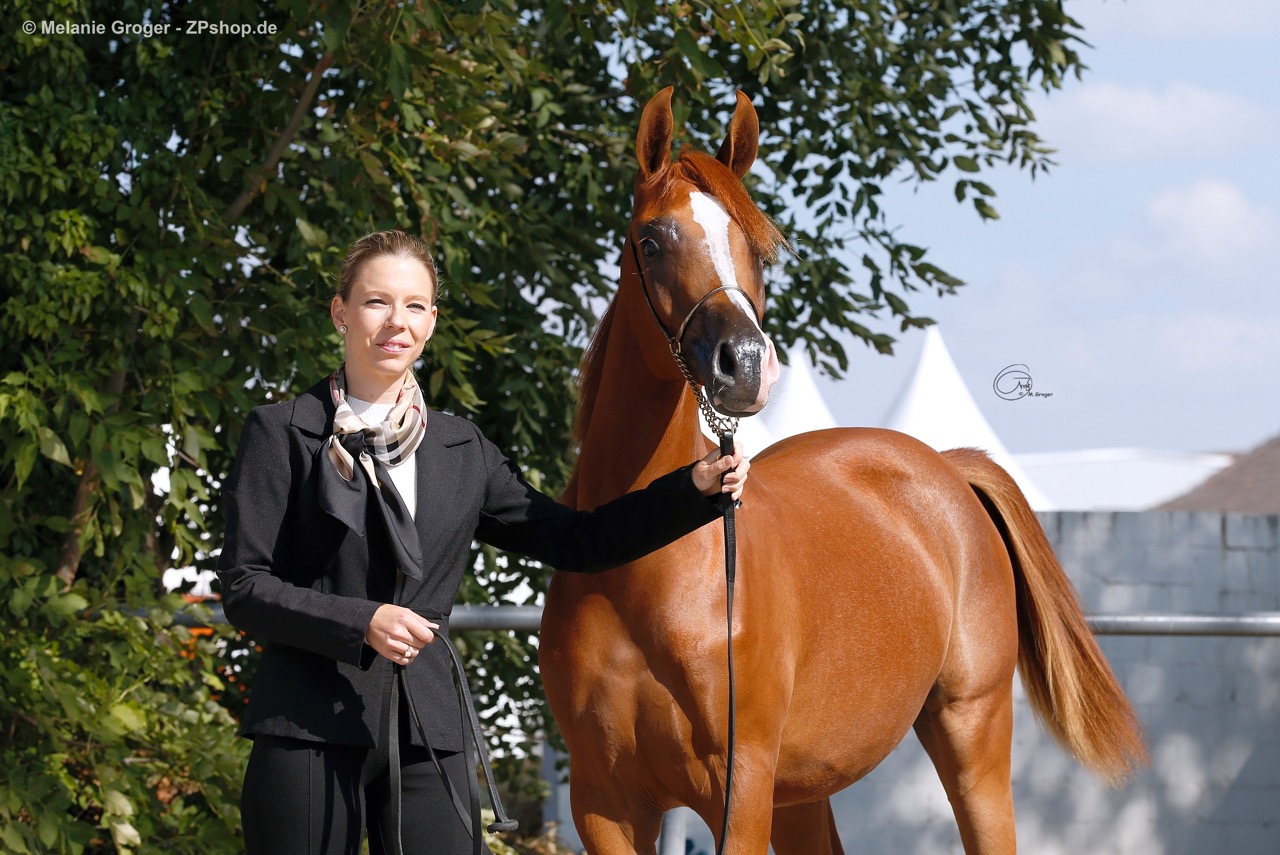Aachen Nationals Aachen Nationals