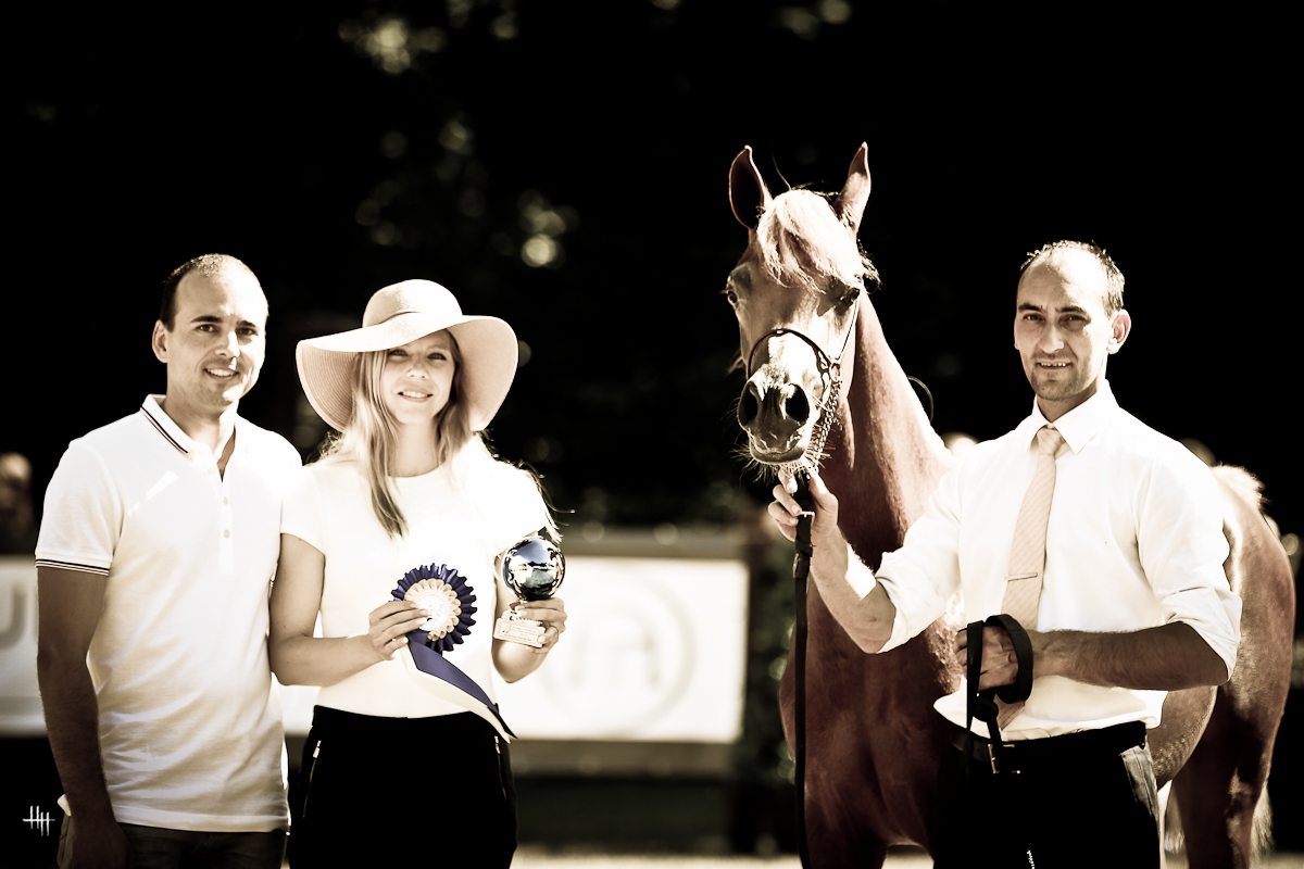 Bruges International Arabian Horse Event