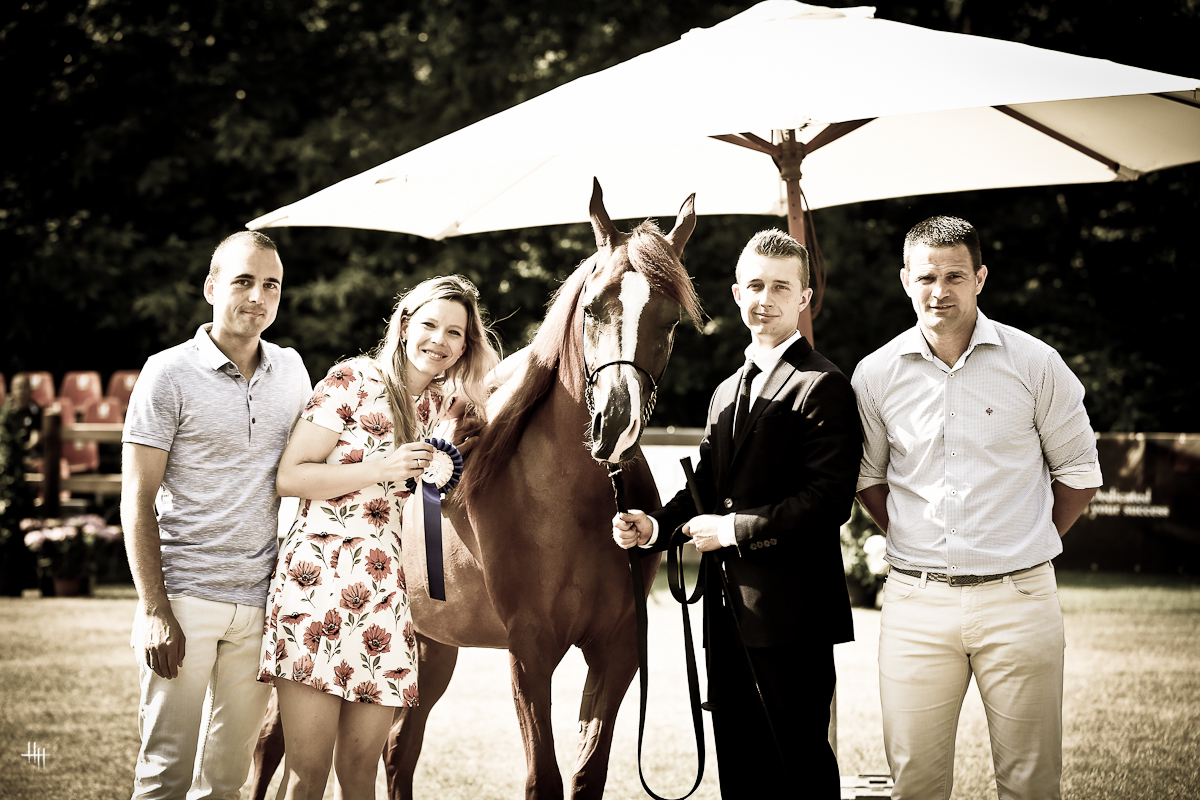 Bruges International Arabian Horse Event
