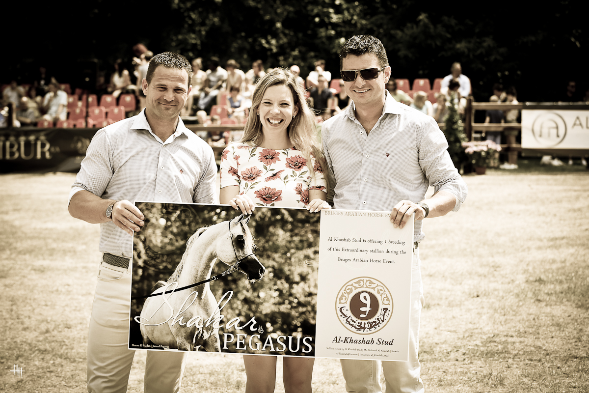 Bruges International Arabian Horse Event