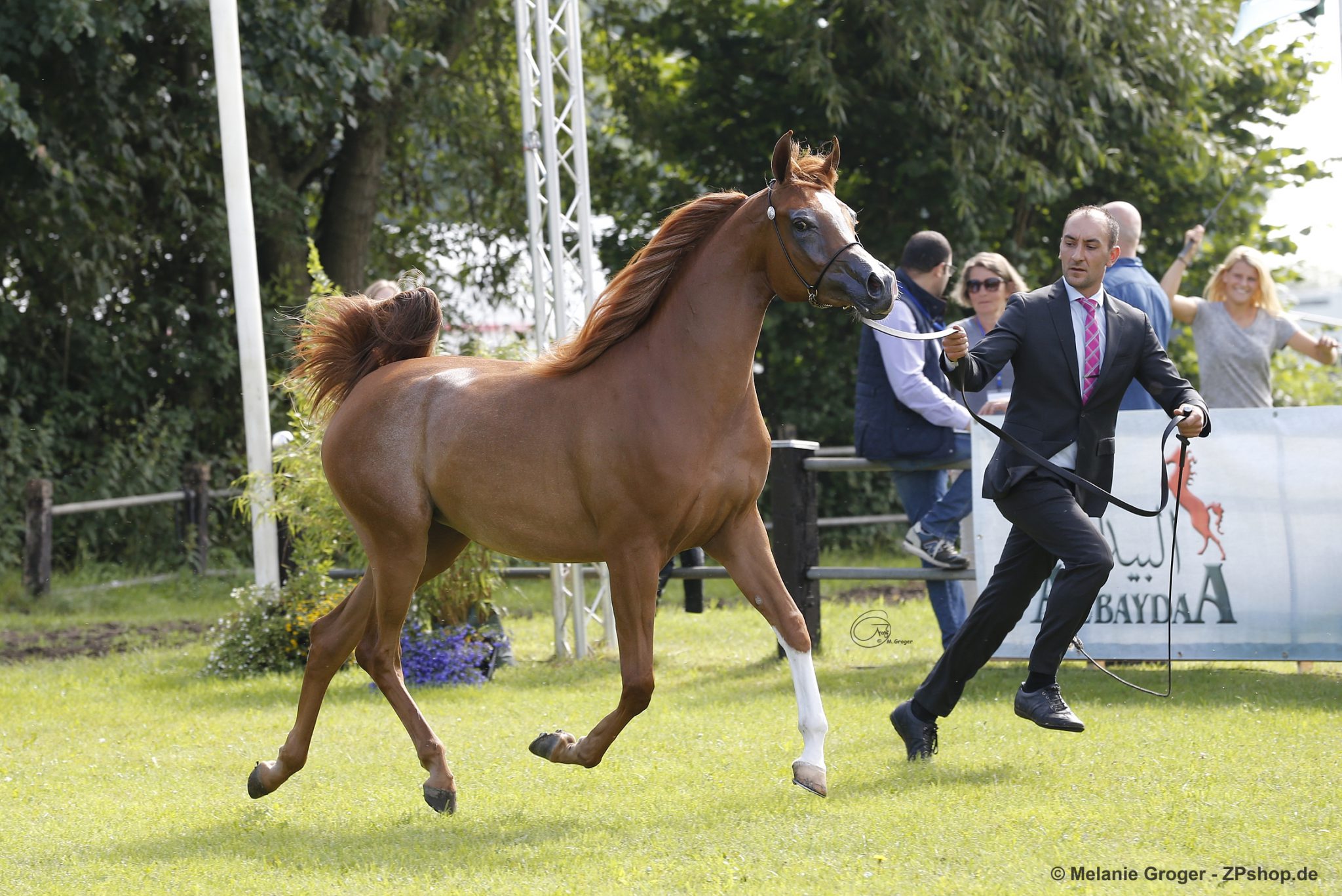 European C Show Ströhen